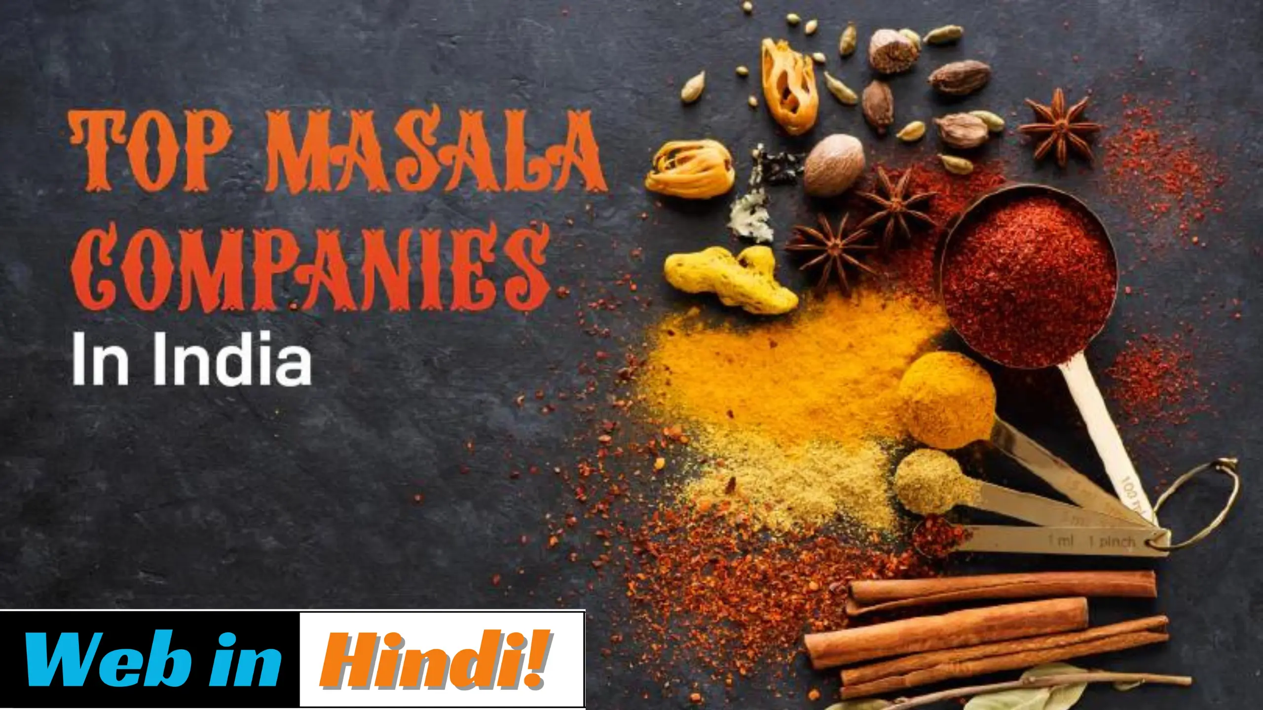 top 20 masala companies in india